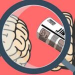 Las encuestas electorales desinforman